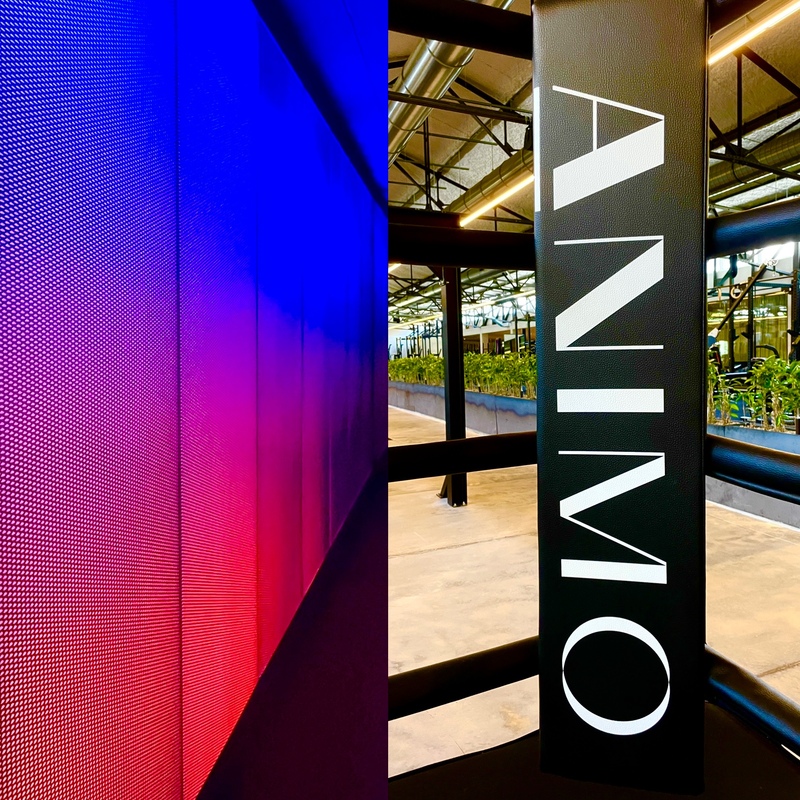 Switch Immo loue 2800m2 de RETAIL à ANIMO - 1040 Bruxelles